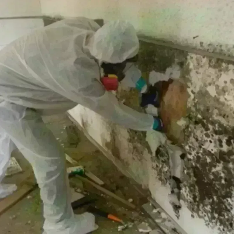 Mold Remediation and Removal in Gilford, NH